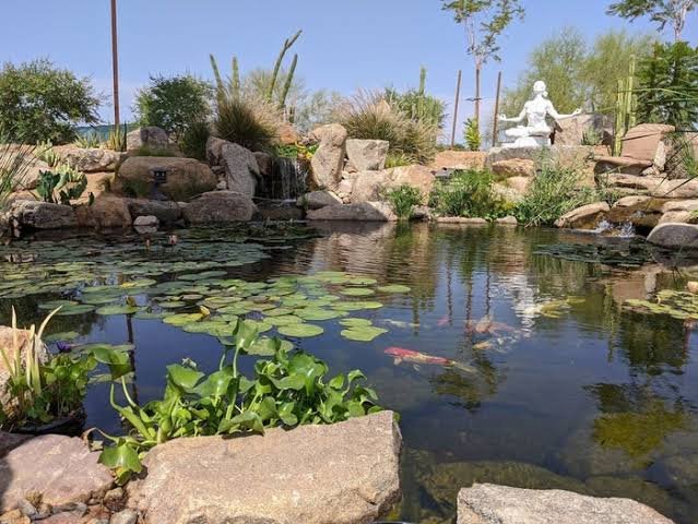 TARC Maceo Lily Pond and Landscaping